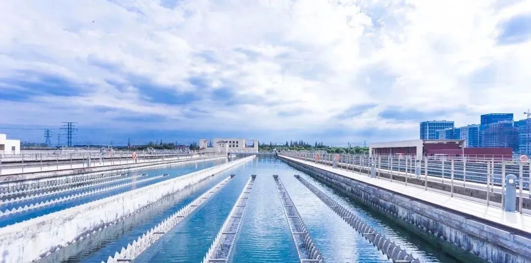 1717030627111034.jpg 1717030627111034.jpg